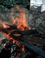 Spalenie ula jest jedną z metod ochrony pasieki