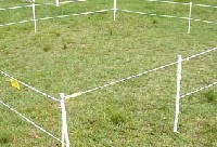 Przenośne elektryczne ogrodzenie pastwiskowe ułatwia dawkowanie paszy