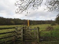 wejście pastwiska kwaterowego